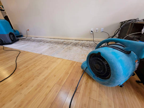Professional Flood Damage Cleanup technician working in Davenport, WA